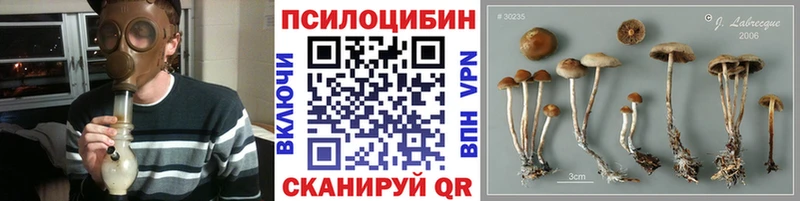 Галлюциногенные грибы Psilocybe  Томмот 